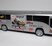 Stockcarbus Roelof van der Veen